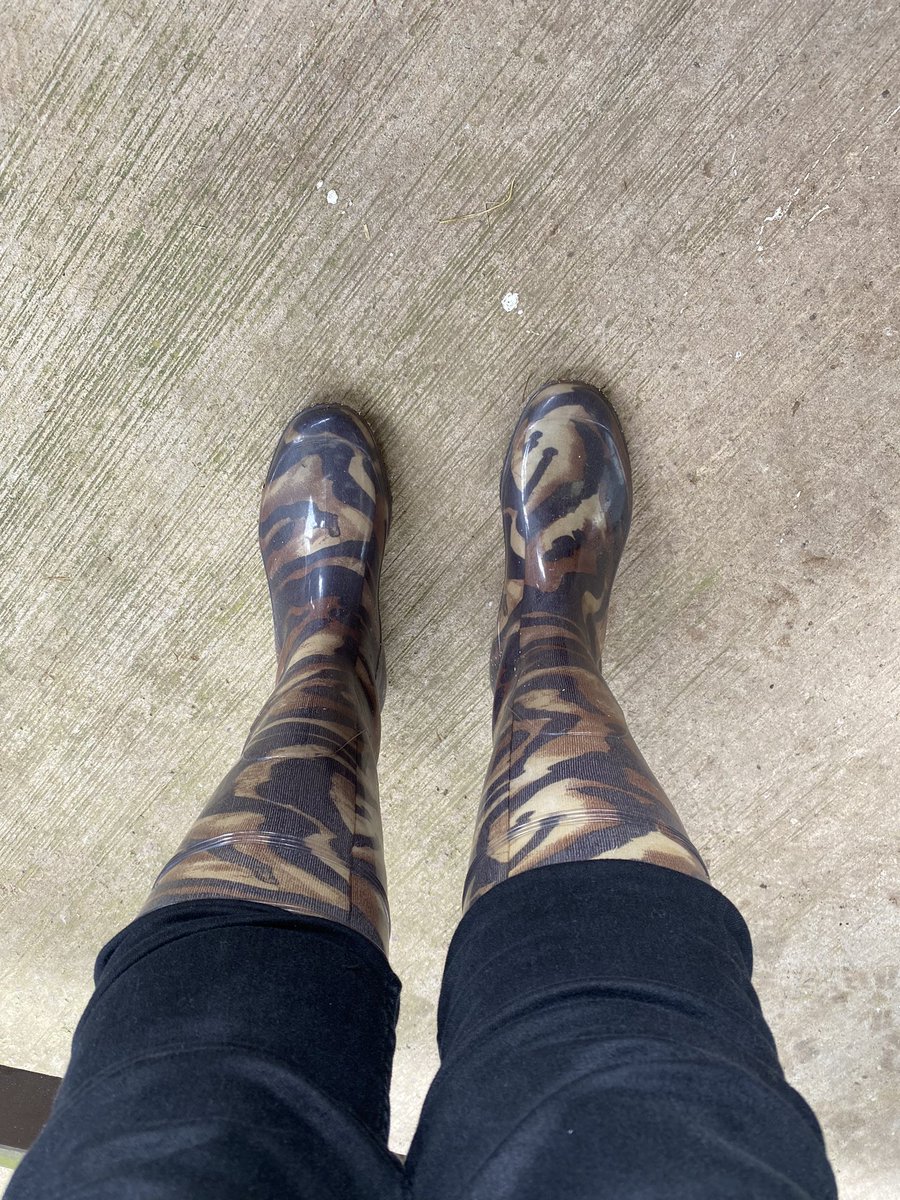 MelissaJBSL's tweet image. Life of an interpreter 😝 WELLIES!! #bslinterpreter