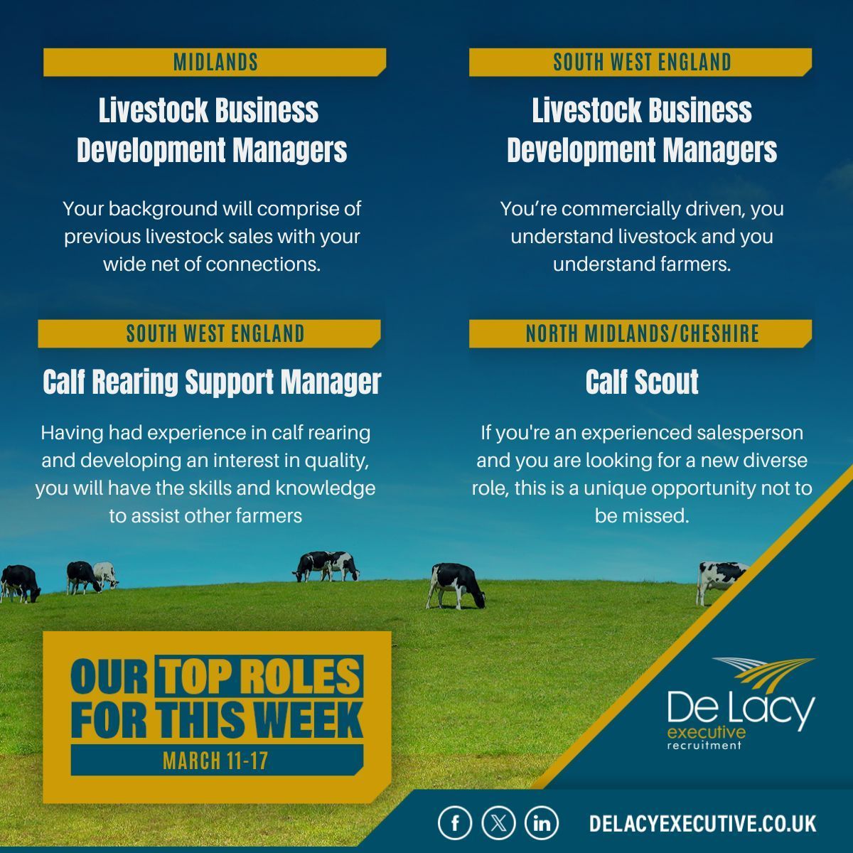 DeLacyExecutive's tweet image. Top Roles for This Week: March 11-17 ⬇️
From a Livestock Business #DevelopmentManager & a Calf Rearing #SupportManager to a Calf Scout & more, these are our Top Roles for This Week!
Explore these #careers & more: delacyexecutive.co.uk/job-seekers/jo…
#UKAg #UKJobs #ManagementJobs #AgJobs