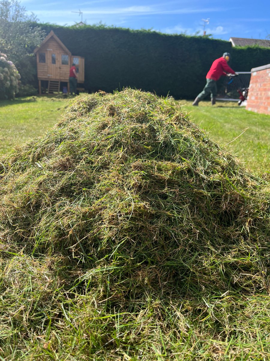 Machine Work 🌱 It doesn't look the prettiest but it's essential if you want a lush lawn. Find out why here: greenthumb.co.uk/blogs/news/why… #LawnLovers #LawnCare #MachineWork