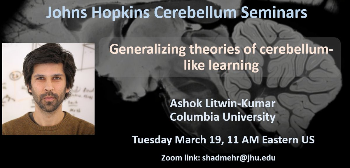 The cerebellum provides a useful model system to link theories of learning with biological mechanisms.
Ashok Litwin-Kumar will focus on the role of pre-expansion structures in processing input stimuli and the significance of sparse granule cell activity.