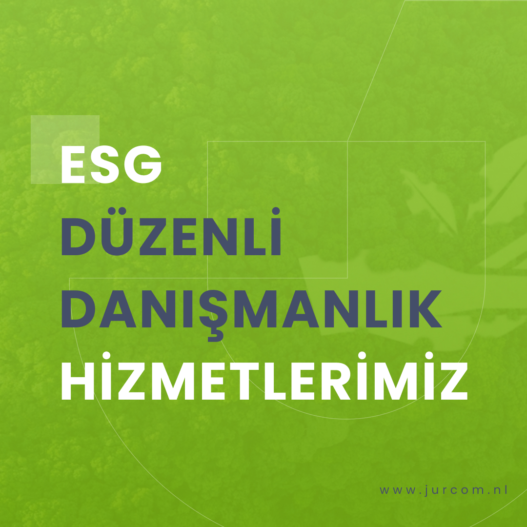 jurcom_grc's tweet photo. 🌏 ESG alanında düzenli danışmanlık almanın kurumlar için önemli faydaları bulunuyor.

🔷 ESG düzenli danışmanlığı konusunda profesyonel destek almak için bize ulaşın. https://t.co/LDNkp4rtOY

#esg #surdurulebilirlik #cys #danismanlik #jurcom #cevre #yesil #karbon #karbonayakizi https://t.co/scVe0z3b69