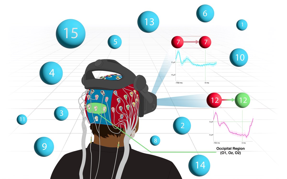 Reddy_XX's tweet photo. 🧠 Excited to unveil what I've dedicated the last year to and my Master's thesis that was just accepted at #chi2024:

Towards an Eye-Brain-Computer Interface: Combining Gaze with the Stimulus-Preceding Negativity for Target Selections in #XR 
🧵👇

Paper 🔗: https://t.co/fix9Asacr4

#hci #spatialcomputing #bci