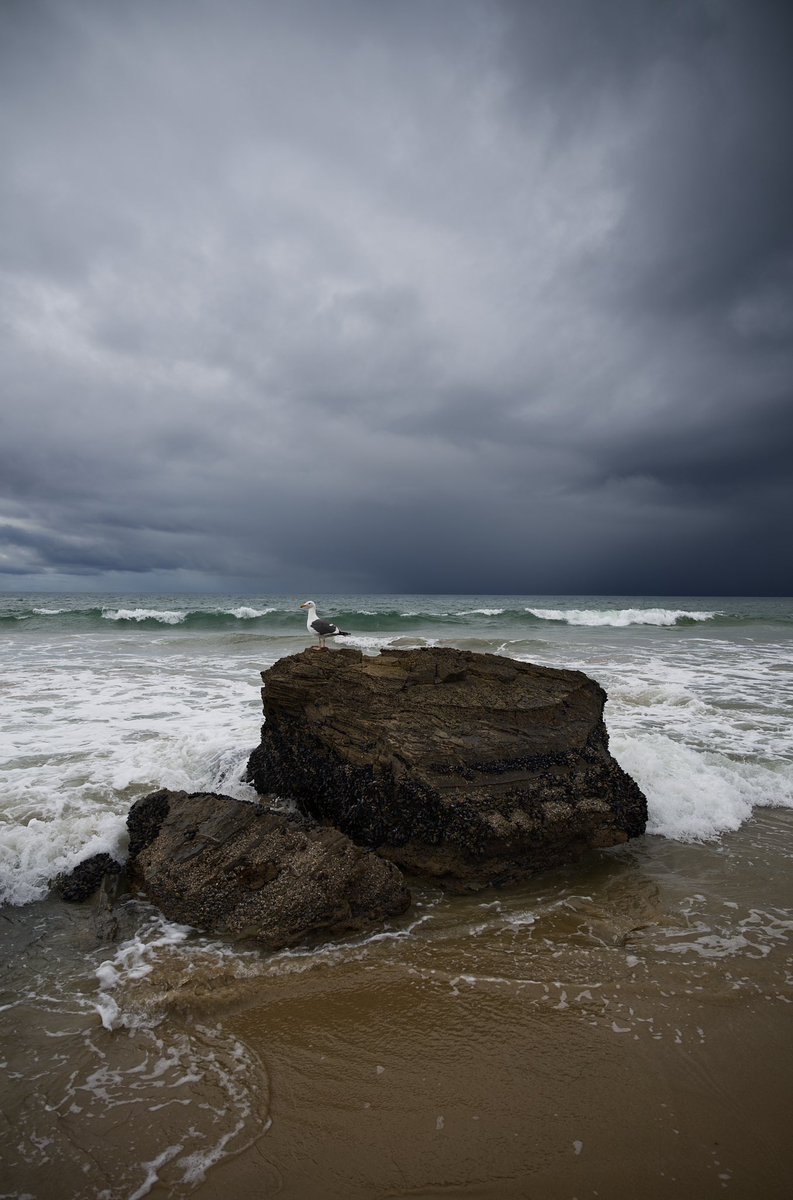 “Wave Watcher”

Who else loves the sound of crashing waves?

#NikonCreator