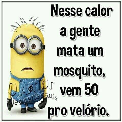 @pontinisandra (@pontinisandra) on Twitter photo 