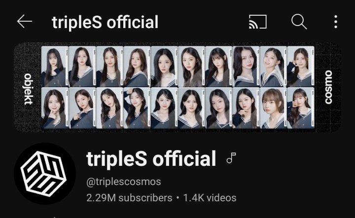 wavverse's tweet image. proud to be one of their 10 supporters 🫡