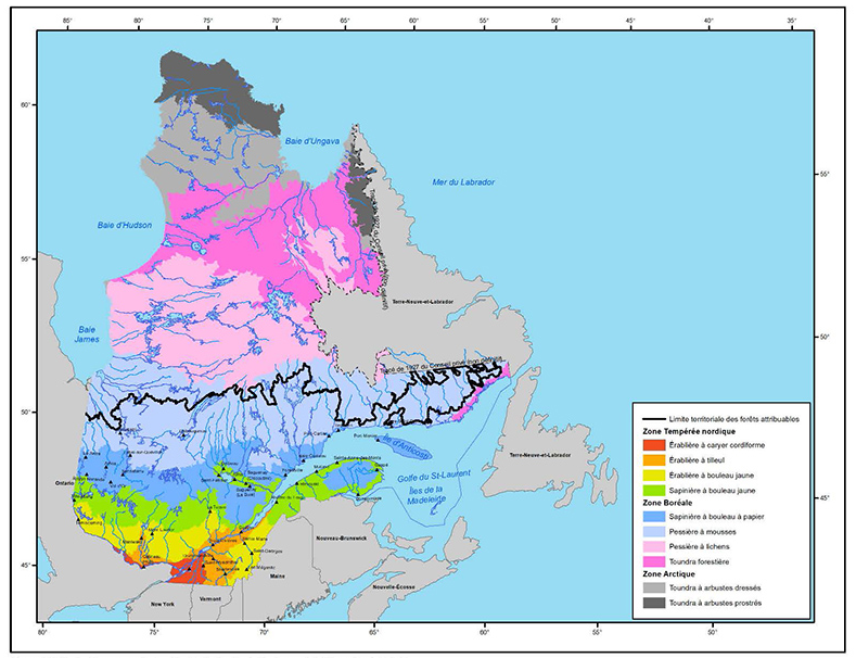 📈 La nouvelle édition du 𝐩𝐨𝐫𝐭𝐫𝐚𝐢𝐭 𝐬𝐭𝐚𝐭𝐢𝐬𝐭𝐢𝐪𝐮𝐞 du MRNF est disponible sur québec.ca. Vous y trouverez une multitude d’informations pertinentes concernant le secteur forestier. 👉 tinyurl.com/2p9pzxzw #forêts #bois #territoire