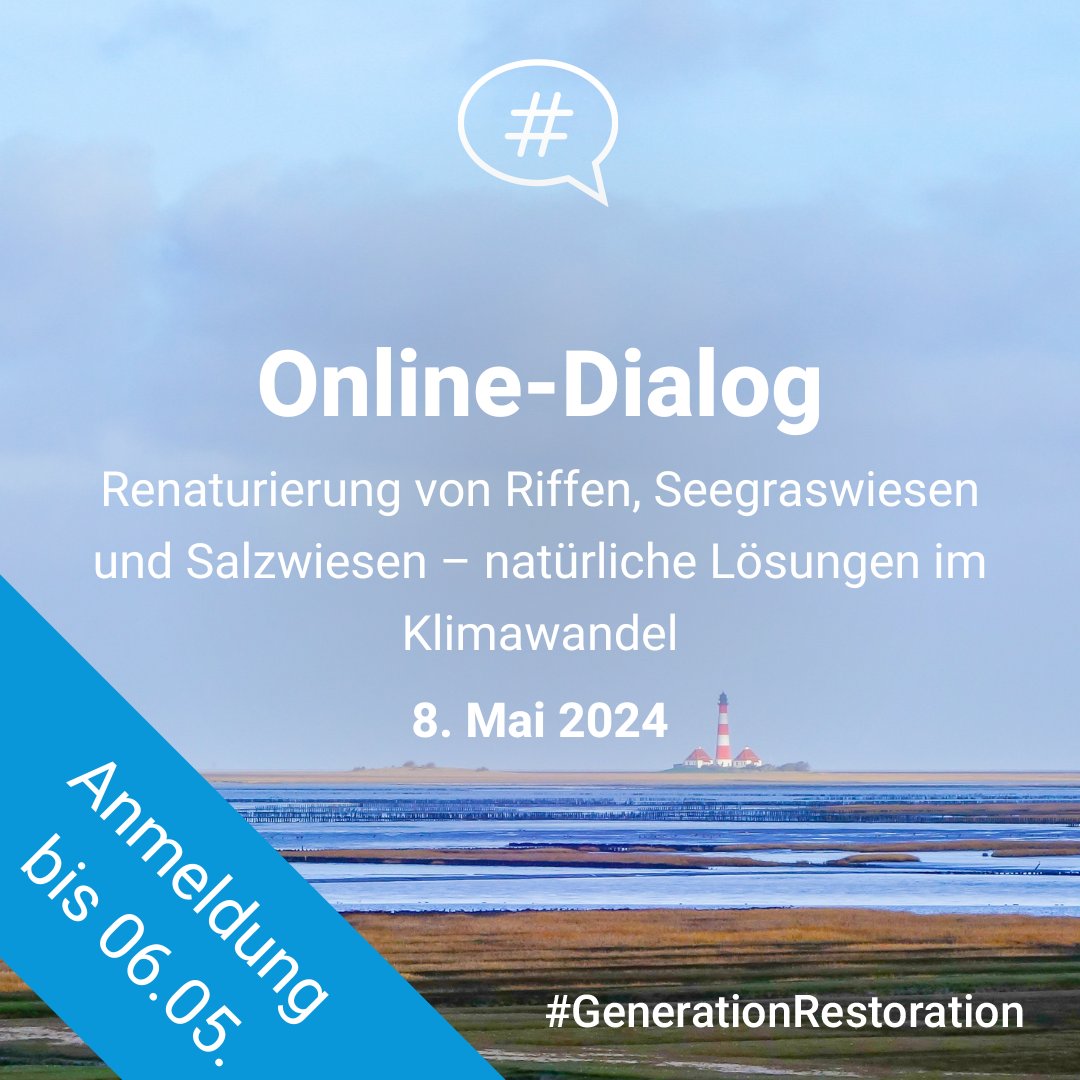 Jetzt zum nächsten Online-Dialog anmelden 🗣 Wann: Am 08. Mai 2024 von 16:00 bis 17:30 Uhr Was: Impuls-Vorträge und Diskussionen zum Thema 'Meere und Küsten: Renaturierung von Riffen, Seegraswiesen und Salzwiesen – natürliche Lösungen im Klimawandel'.