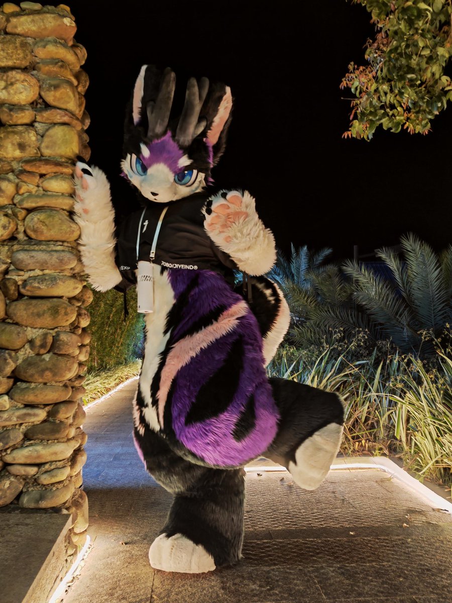 才不是肥美呢！！

#Fursuit #furry 
#FursuitFriday #hifurry