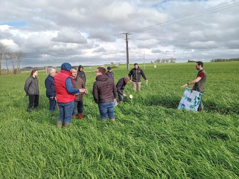 Échanges  techniques  autour  d'une  parcelle  de #silphie et d'une  vitrine dérobée avec l'equipe sud 35. #fourragères 
<a href="/BiolineByInVivo/">Bioline By InVivo #3VA 🌾🐝🌽🎯📲</a> <a href="/jmdreano/">JMDREANO</a> <a href="/EuredenGroup/">Eureden</a>