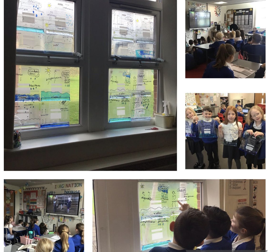 As part of National Science Week 2024, 4C have recreated the water cycle in a bag and observed the changes over a period of 72 hours. In addition, they took part in a live lesson from a farm vet! 🌧️🐷