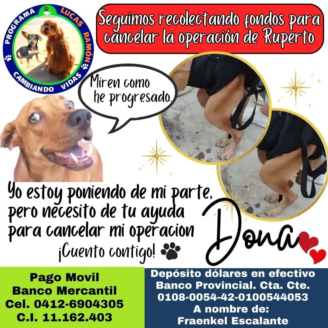 SEÑORES OTRA VEZ YO, SOLICITANDO AYUDA PARA PODER SALIR DE LOS COMPROMISOS ADQUIRIDOS...NO QUIERO HACER MAS ÉSTO DE VERDAD 😞😞😞😞