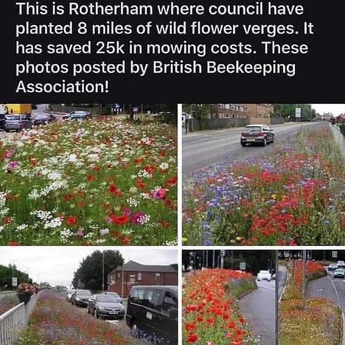 I’m seeing this viral photo popping up all over the place at the moment. It drives me nuts because it’s usually peddled as a green solution that’s beneficial for wildlife. Firstly, these aren’t “wildflowers”. They’re not even flowers that are native to the UK. There are very few…