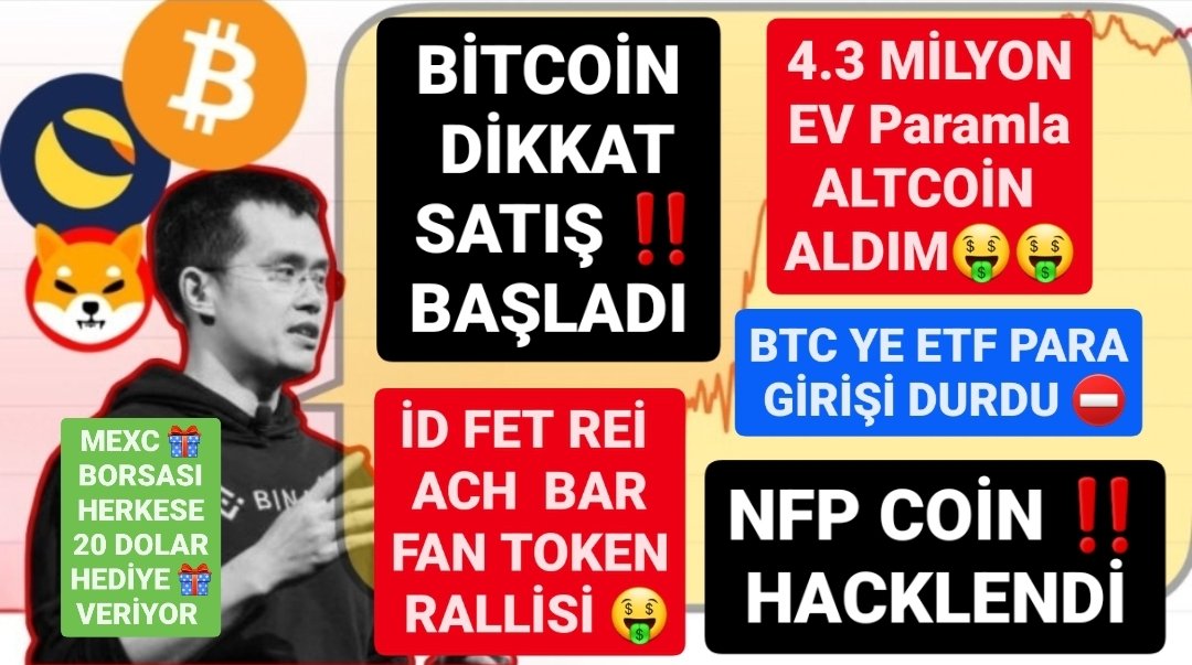 King Of Para tweet media
