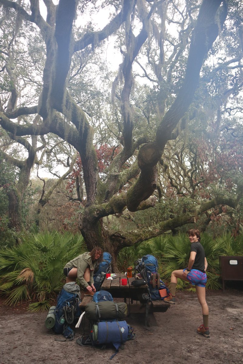 Venture Out experienced challenge, support, camaraderie, and adventure on their backpacking trip on Cumberland Island over spring break! 🌳🌴🥾🐎