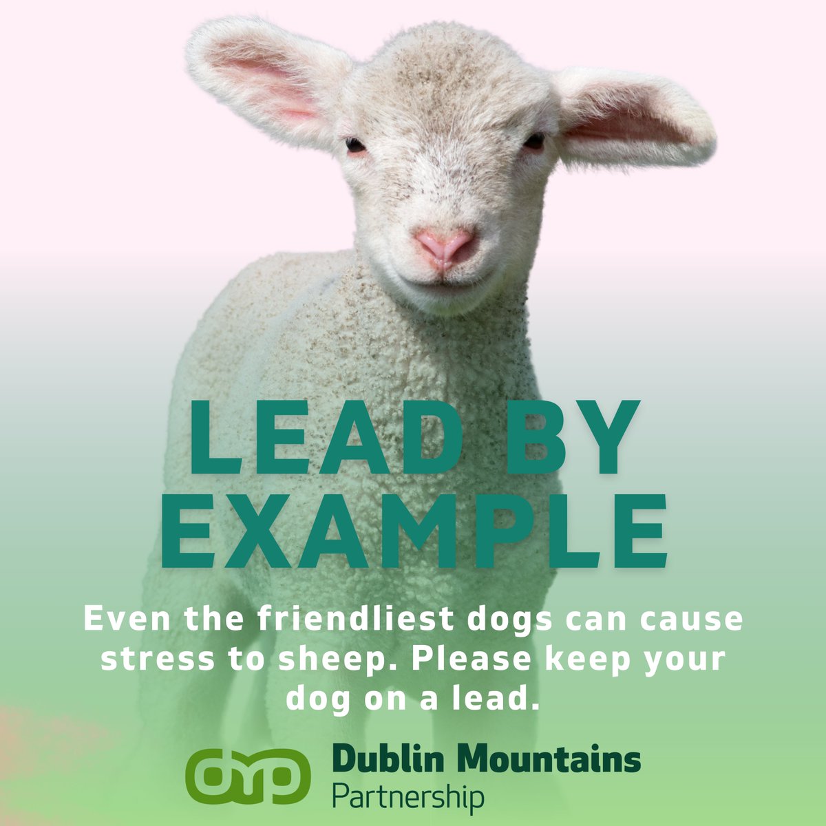 Keeping your dog on a lead helps maintain good relationships between landowners & the public & will help to: - Avoid harm to sheep & their lambs - Prevent sheep miscarrying their lambs - Support Local Farmers - Keep your Dog Safe #LeadByExample #SupportFarmers #DublinMountains