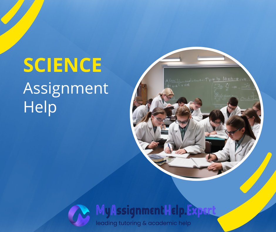 My Assignment Help Expert tweet media