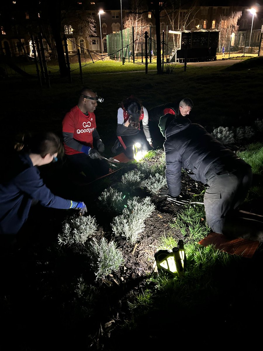 A huge shout out to the amazing @GoodGymLambeth who gave up their evening to help us spruce up our Lavender Maze, Max Roach Park, Brixton. THANK YOU! 🙏If you haven't already, go check out the Maze, the fun new green Brixton landmark for young & old alike (including the bees!)