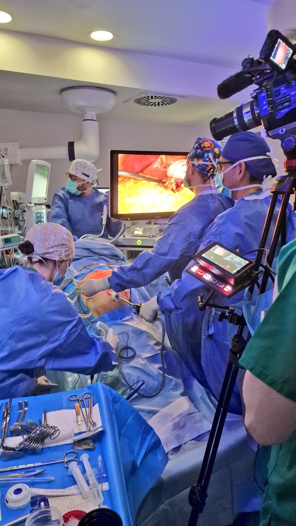 1° cirugía del día superada con Éxito 🙌 por el Dr. @Gabboddg & @rafagdiazgobbo @cirurgiaalthaia Gastrectomía laparoscópica por TNE + Gastroscopia intraoperatoria XVI JORNADA DE CIRUGÍA LAPAROSCÓPICA - HOSP. MEDINA DEL CAMPO🔝