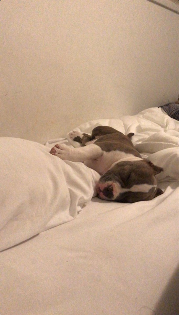 ⛹🏽‍♂️ tweet media