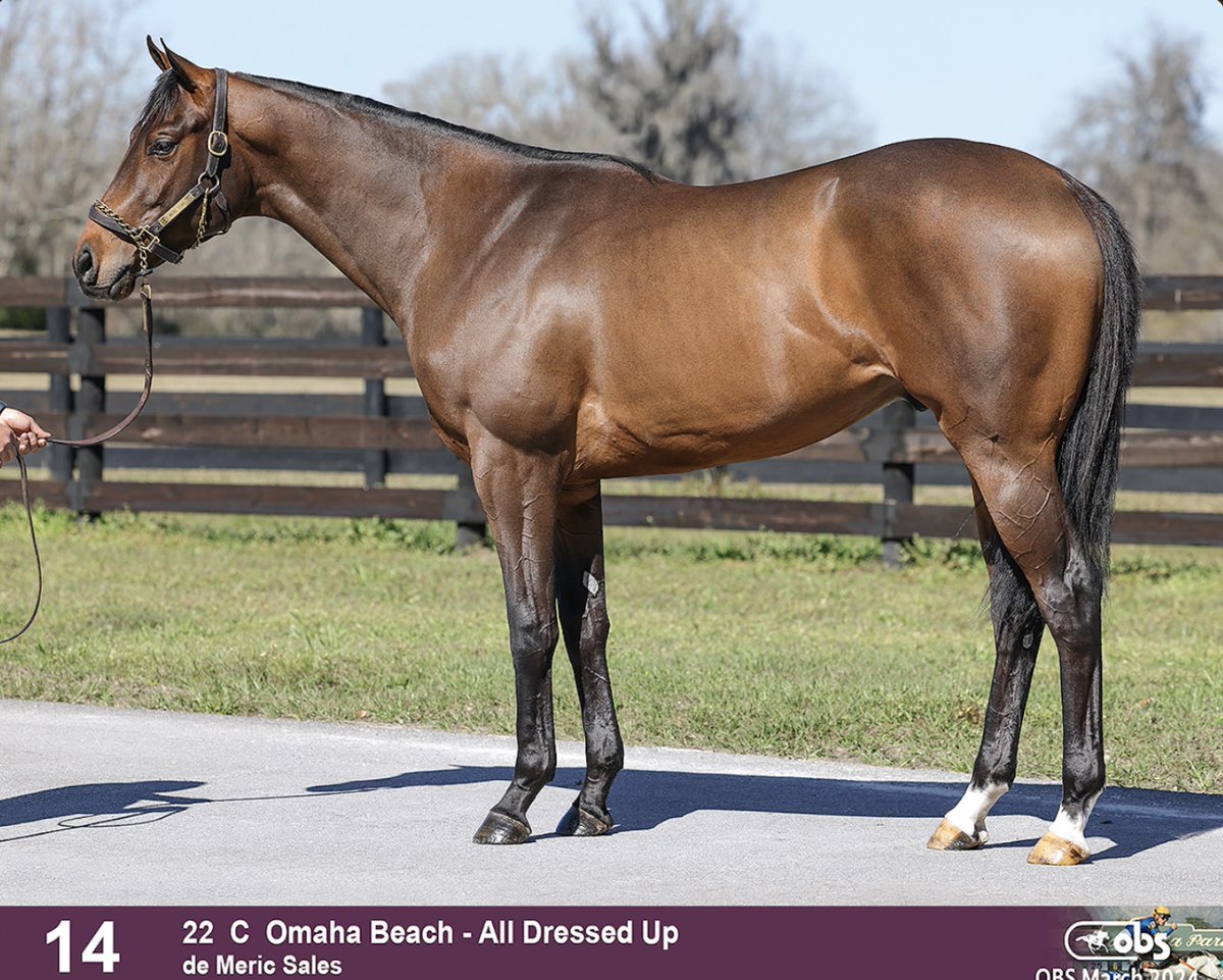 Congratulations to @caseclay1 on the purchase of hip 14, a colt by Omaha Beach, from @OBSSales this week.  We bought him as a yearling in partnership with @Valery90310081 and Tristan de Meric and we wish you and your associates the very best of luck with him. @spendthriftfarm