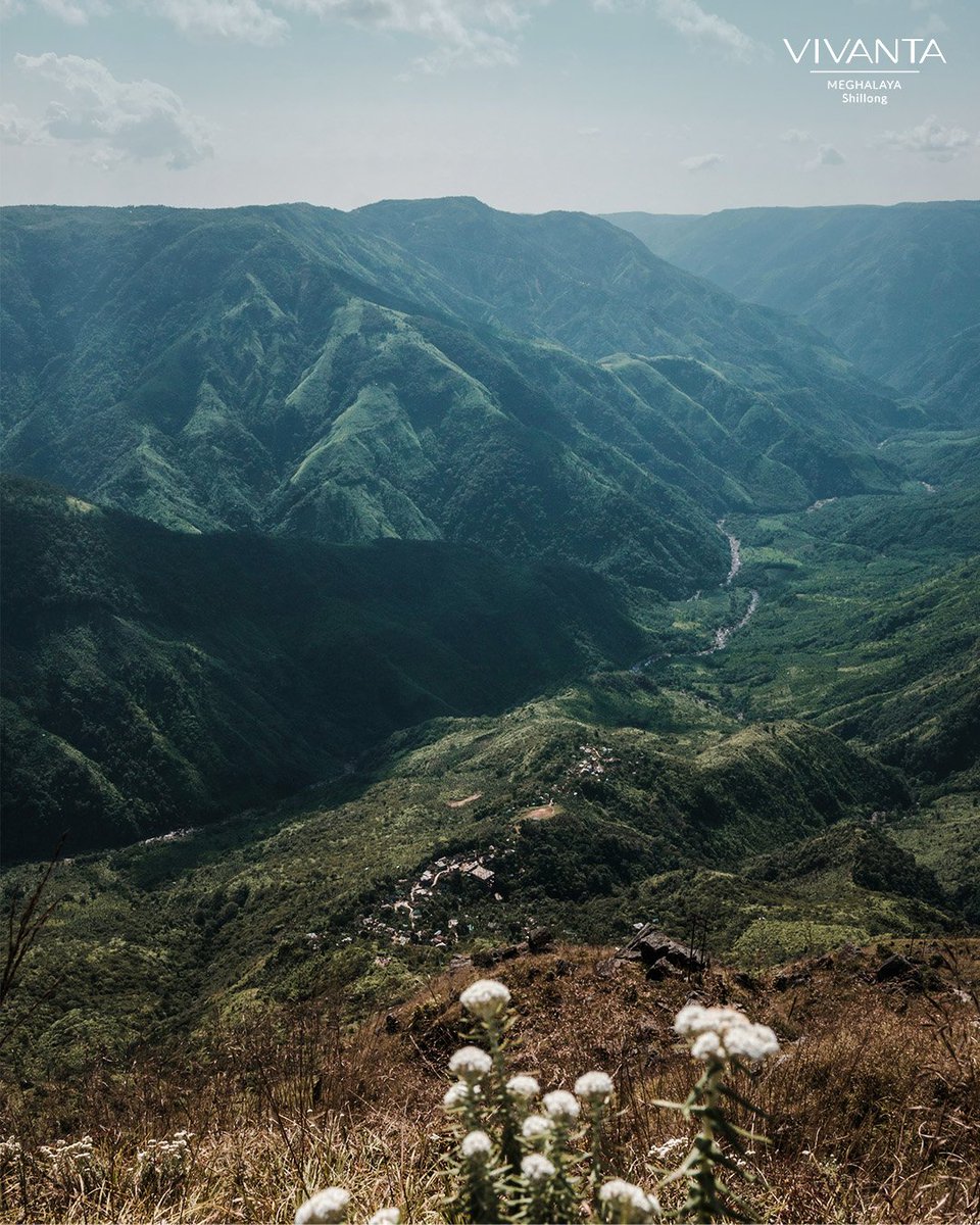 Explore Laitlum’s majestic gorges, where nature's grandeur meets unforgiving beauty. For reservations, please call: +91 (364) 223 4000 or email: Vivanta.shillong@tajhotels.com #VivantaMeghalayaShillong #Meghalaya #Shillong #ScotlandOfTheEast #Laitlum #DiscoverMeghalaya