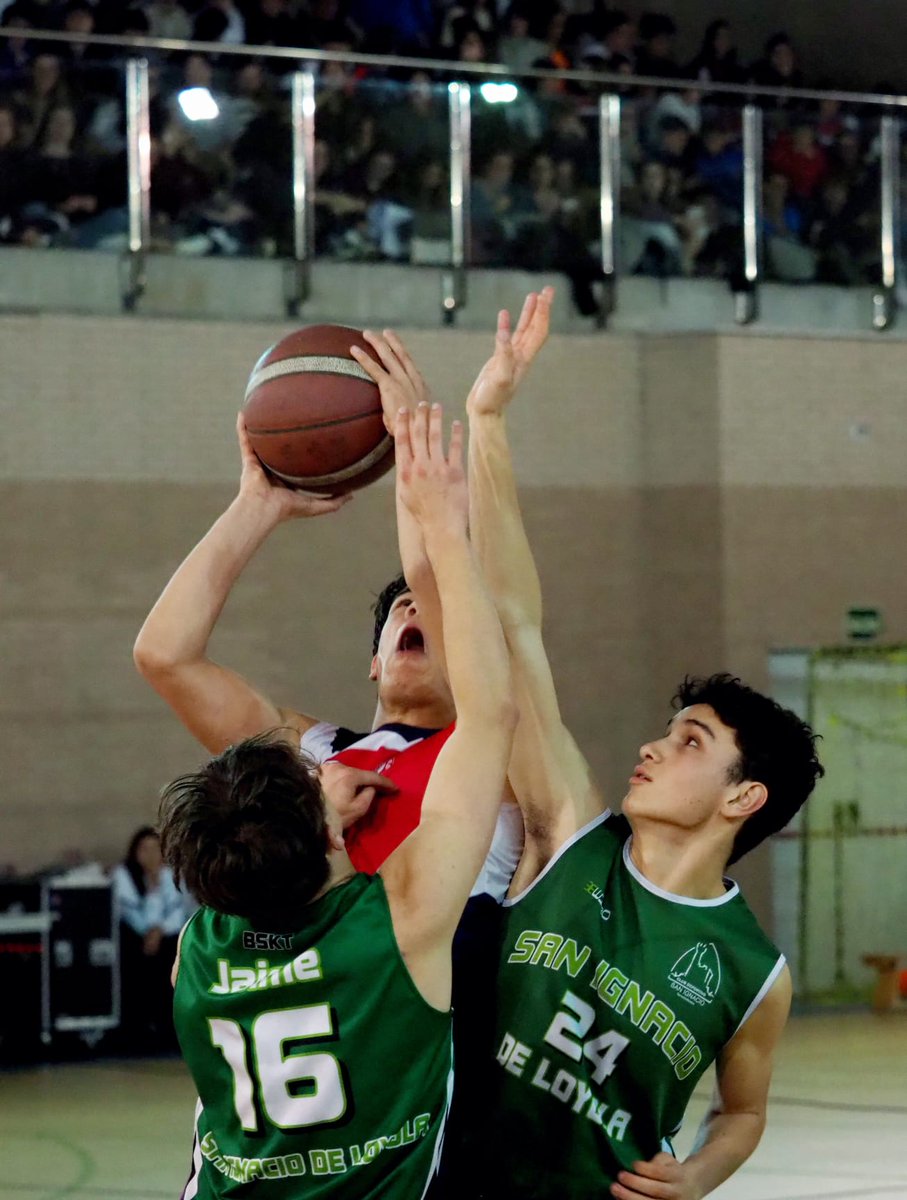 ¡Madrid está decidiéndose! 

⛹️‍♂️SEMIFINALES

<a href="/sanagusmadrid/">Colegio San Agustín - Madrid</a> vs <a href="/ClubPilaristas/">Club Pilaristas</a> 
<a href="/CorasBasket/">Basket Corazonistas</a> vs <a href="/EstudioCD/">C.D Estudio</a>/<a href="/VMirasierraSSCC/">Virgen de Mirasierra</a>

⛹️‍♀️ SEMIFINALES

<a href="/colegioarcangel/">Colegio Arcángel International School</a> vs <a href="/sanagusmadrid/">Colegio San Agustín - Madrid</a>
Ramiro vs <a href="/EstudioCD/">C.D Estudio</a>/ <a href="/colegiochamberi/">Colegio Chamberí</a> 

copacolegial.com/madrid/noticia…

#VuelvelaMagia