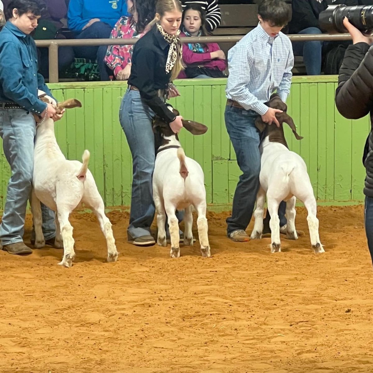 KCAL KISD (@kcal_kisd) on Twitter photo Our <a href="/KellerISDFFA/">Keller FFA</a> Goat Exhibitors did an amazing job at the 2024 Tarrant County Junior Livestock Show! 🐐
We are so proud of each of you! Congrats to you all!
#kcal #kellercenterforadvancedlearning #kisd #kellerisd #CelebrateKISD #CTEinKISD #theKCALconnection Our <a href="/KellerISDFFA/">Keller FFA</a> Goat Exhibitors did an amazing job at the 2024 Tarrant County Junior Livestock Show! 🐐
We are so proud of each of you! Congrats to you all!
#kcal #kellercenterforadvancedlearning #kisd #kellerisd #CelebrateKISD #CTEinKISD #theKCALconnection