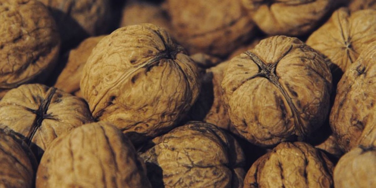 GrupCano's tweet photo. 🌰 ¡Incorpora frutos secos a tu dieta y da un paso hacia una vida más larga y saludable! Ricos en proteínas, grasas buenas, y antioxidantes, son aliados perfectos para tu corazón. Descubre más sobre sus beneficios en nuestro blog. #GrupCano #VidaSaludable #Nutrición https://t.co/JUqelgdoZT