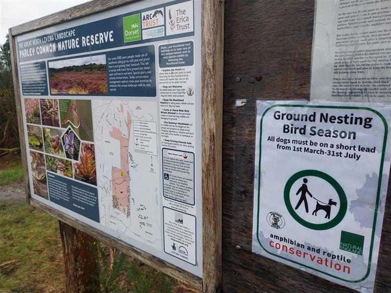 It's #groundnestingbird season!🐦 Very shortly it will also be reptile breeding season. With this in mind, our field officers will be going round our reserves and putting up banners over the coming weeks 🐕🌱 #BeAwarePleaseDontScare @Dorsetheaths
