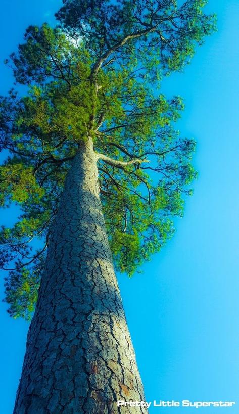 May God bless the work of your hands✋