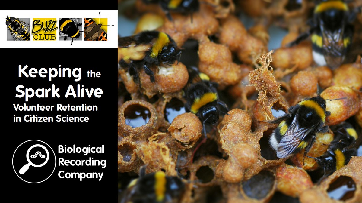 Join @LJBees to hear about what her ‘Bees & Beans’ PhD taught her about volunteer retention. Check out @The_Buzz_Club Citizen Science Virtual Symposium for more info: eventbrite.co.uk/e/773643988997