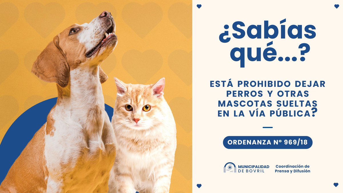 MUNIBOVRILok's tweet photo. 👉De importancia...
.
#MUNICIPIOPRESENTE
⬛️PRENSA Y DIFUSIÓN
📲💻https://t.co/6duVhPQadK https://t.co/ytDNmAgRR8