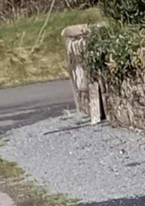shane_donlon_'s tweet photo. @IrishWater
I've tried to have you investigate a leak from this SV, you're 100% sure this SV won't disrupt public supply if I turn it off? https://t.co/z9sBuYyPgh