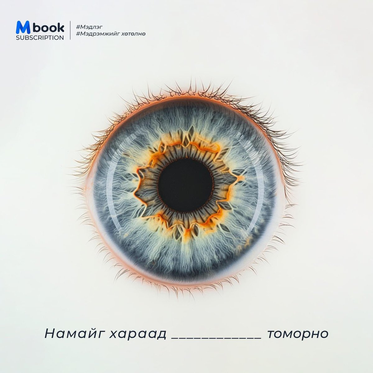 Mbookmn's tweet photo. Нэг таагаад үзэх үү 📖👀

АПП татах: https://t.co/SyiZGxzbCG  
#Mbook #books https://t.co/ez0cJTlKGt