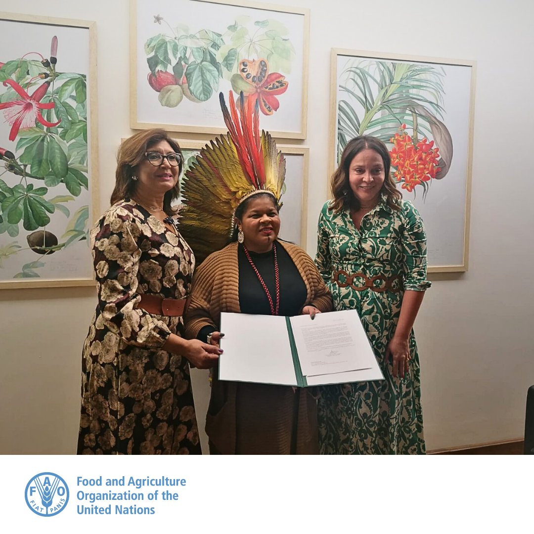 Brazil joined the Coalition on Indigenous Peoples' food systems, becoming it's 14th Member State! ✨🌻 Learn more about the Coalition: 👉bit.ly/3TiYiKC @GuajajaraSonia @MariaLenasemedo @DMejia20 @UN4Indigenous #WeAreIndigenous