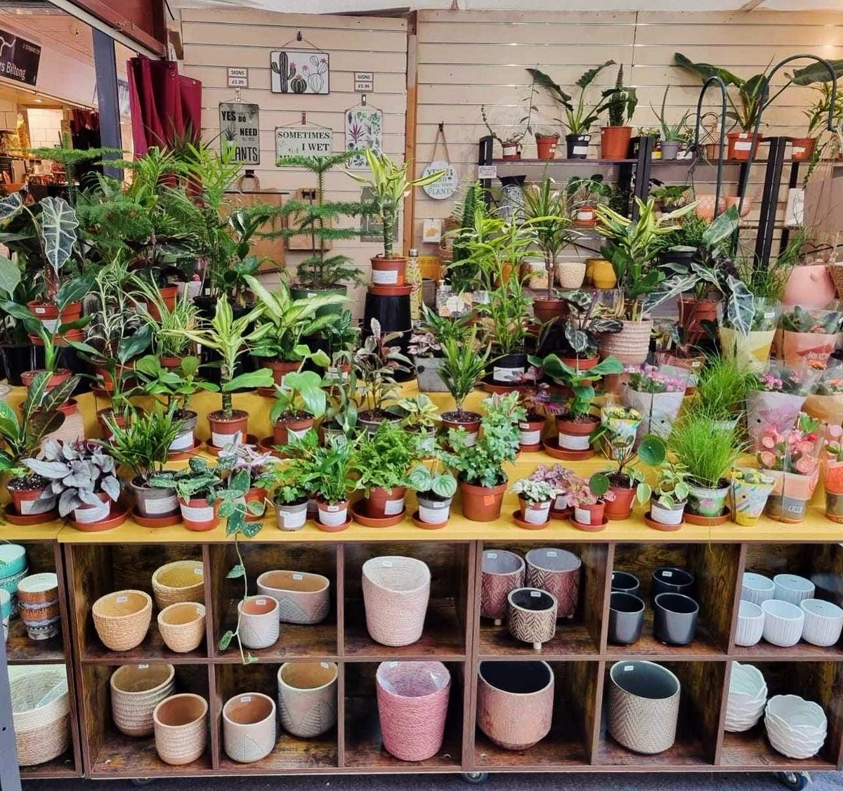 We’ve had a bug hotel, bulbs and a box FULL of plant pots donated by the generous people at Love of Houseplants on Harborough Market for our Green Space project 🌱 🤩 If you want to know more about what we’re doing, or you’d like to donate, click here: justgiving.com/crowdfunding/m…