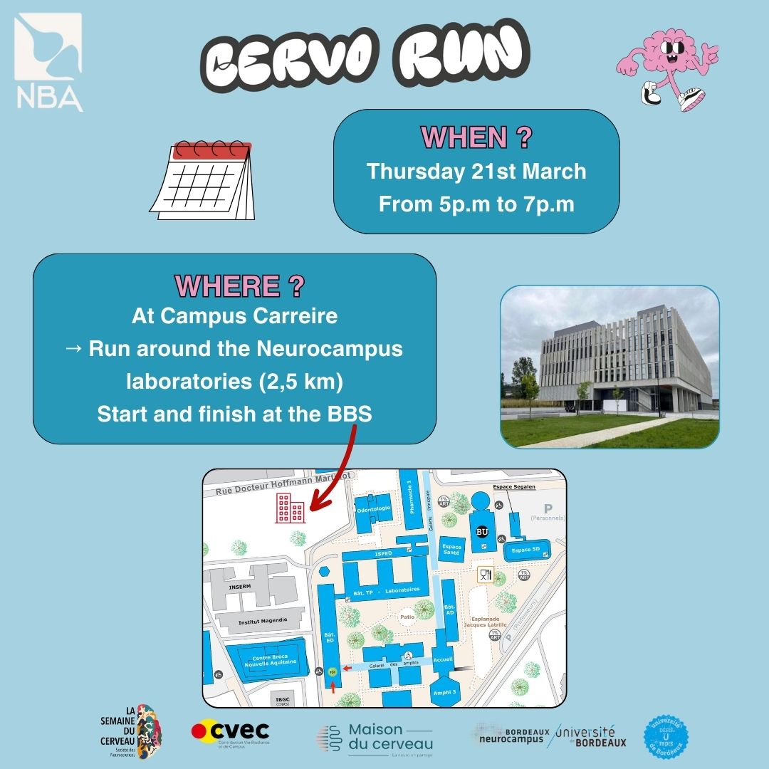 Neuroscience in Bordeaux Association tweet media