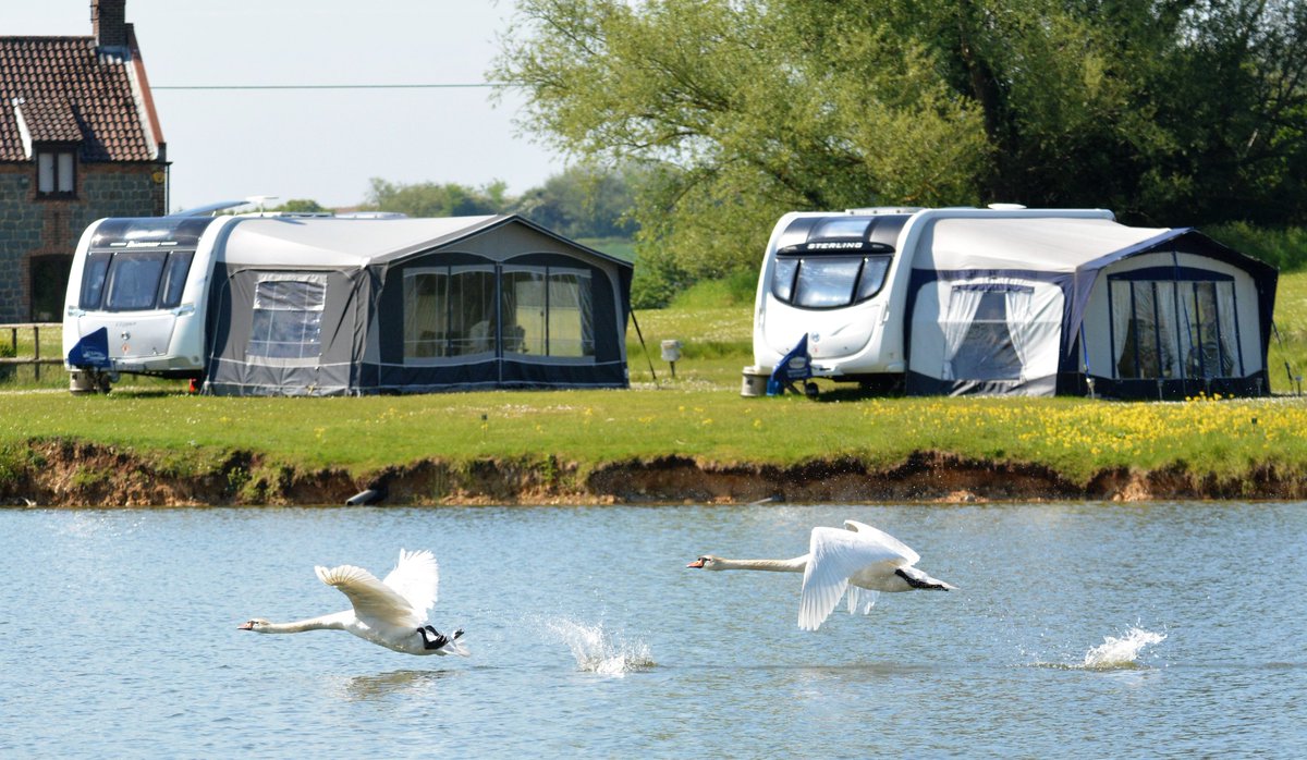 pitchup's tweet image. Does your dream holiday involve fishing on the banks of a peaceful lake? 🎣 This stunning adults-only site is a catch, and five minutes’ drive from #SandringhamEstate in #Norfolk. pitchup.com/campsites/Engl…