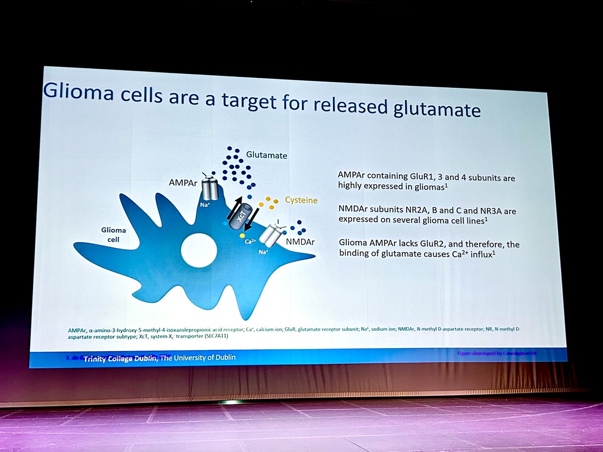 ✨Mark Cunningham's inspiring talk: 'Human-derived brain tissue as an epilepsy model' 
🔬MEA recording of human #seizure events
🧠synaptic input drives #brain tumour progression
🏥Multi-centre approach
<a href="/UEF_BRU/">UEF Brain Research Unit</a> 
#Kes2024 
#kuopioepilepsy 
<a href="/UniEastFinland/">University of Eastern Finland</a> 
<a href="/The_MRC/">Medical Research Council</a> 
<a href="/tcddublin/">Trinity College Dublin</a>