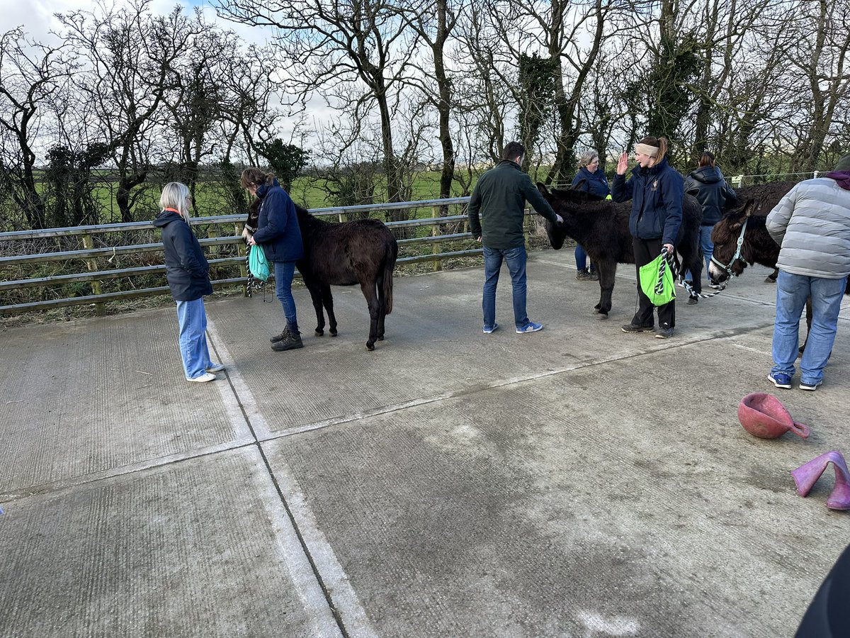 Paidin Mac tweet media