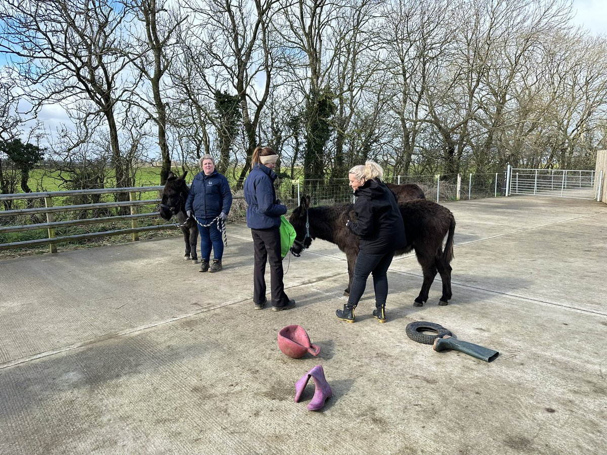 Paidin Mac tweet media