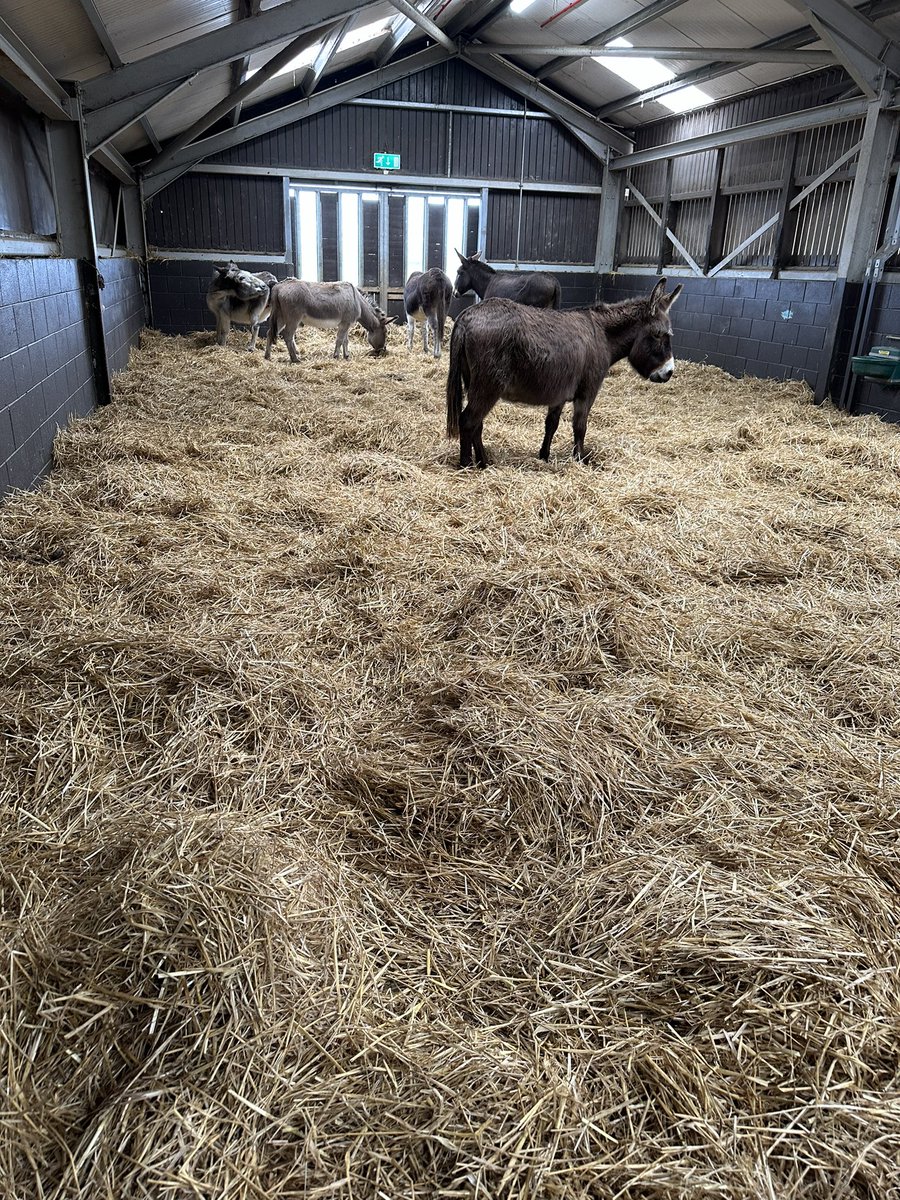 Paidin Mac tweet media