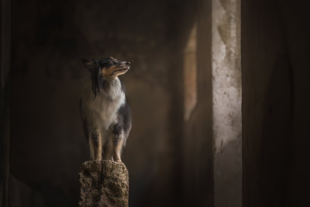 Our February Monthly Image Competition results are out!! 📷

Follow this link to view the images  📷 bipp.com/.../competitio…

© - Frankie Adamson

#BIPP #Photography #MonthlyCompetition #FebruryResults