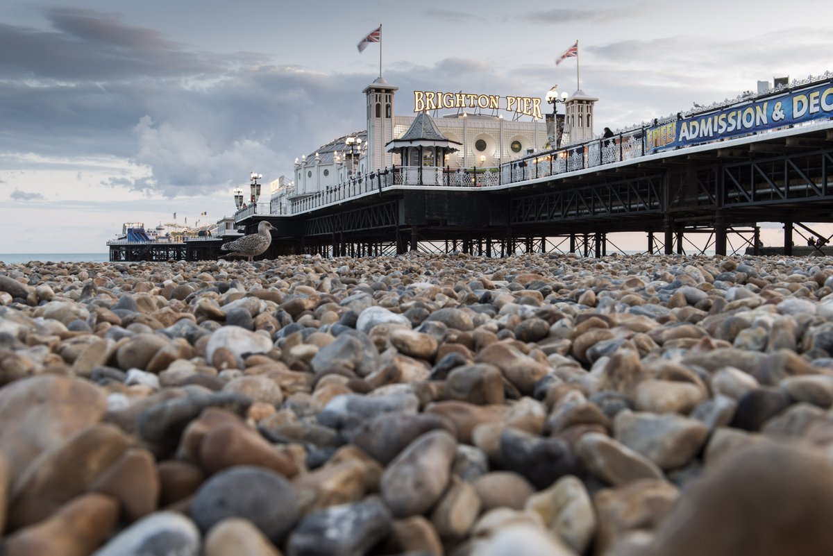 Today is the start of #EnglishTourismWeek! There’s never been a better time to discover everything Brighton has to offer! Let us make your visit to Brighton truly a memorable experience: lnkd.in/dR8JYXe #EnglishTourismWeek #Brighton #VisitBrighton
