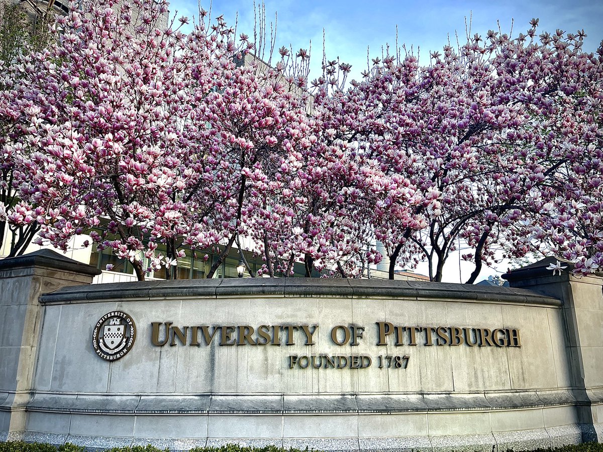 While I started at Pitt in Nov, we finally moved just in time for spring 🌸