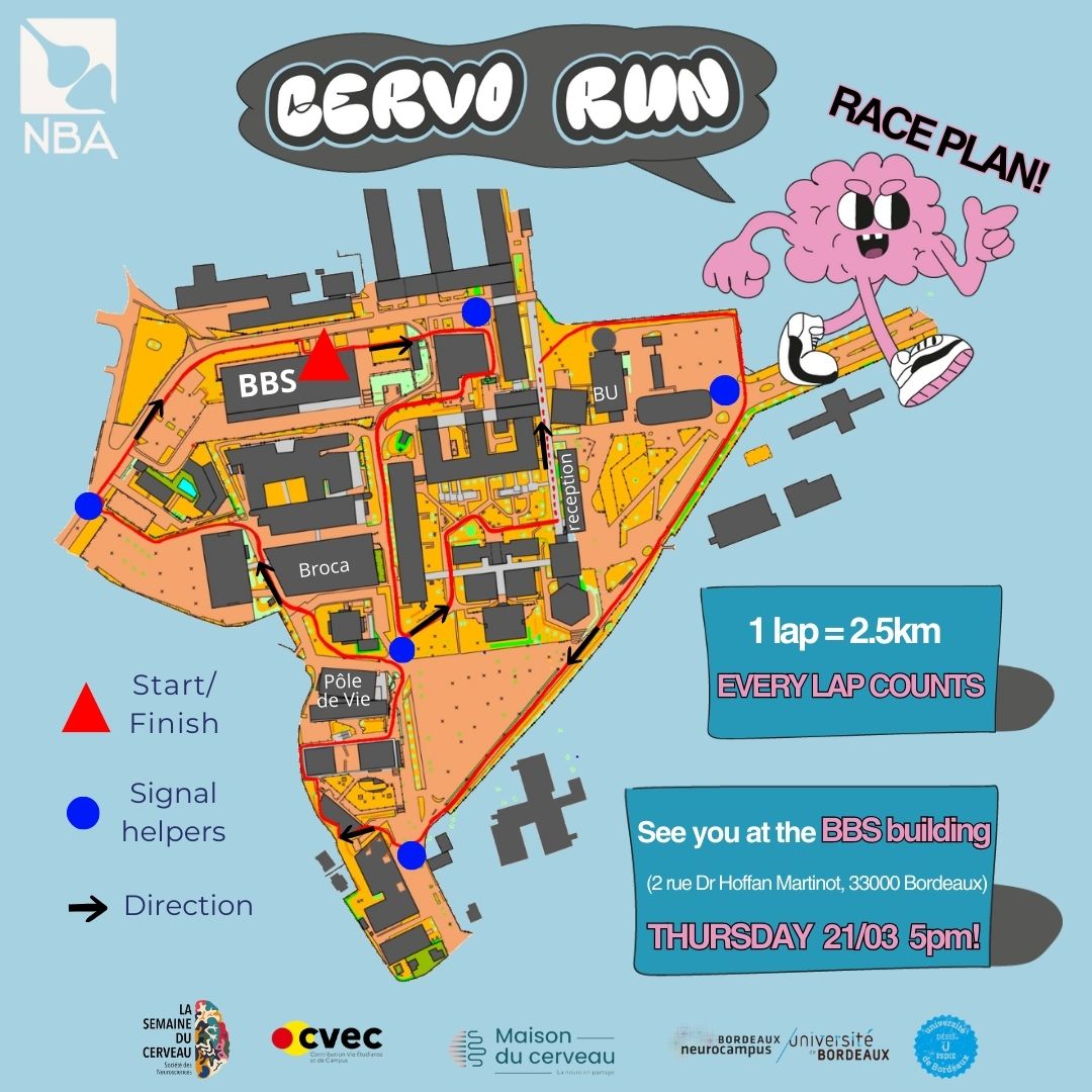 Take a look at the race plan🗺️ for the CervoRun🧠 race on Thursday 21st of March from 5pm to 7pm, followed by an afterparty until 10pm🎉 (with food and drinks).

We hope to see all of you at the starting line at the BBS building (2 rue Dr Hoffan Martinot, 33000 Bordeaux)🏃