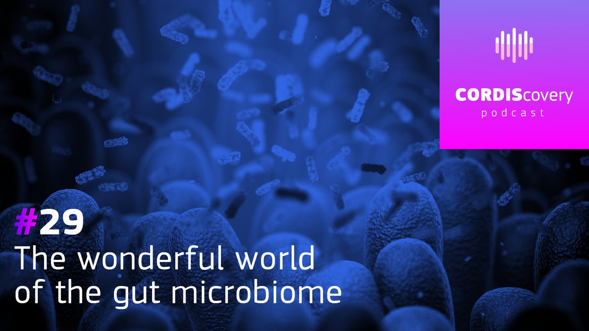 🔬 Unlocking the mysteries of microorganisms! 🦠

Did you know that these tiny powerhouses do more than we think? From digestion to immunity, their impact is profound. But what else could they be hiding? 🤔

Tune in to #CORDISscovery #podcast to discover👉 spoti.fi/46oqdhI