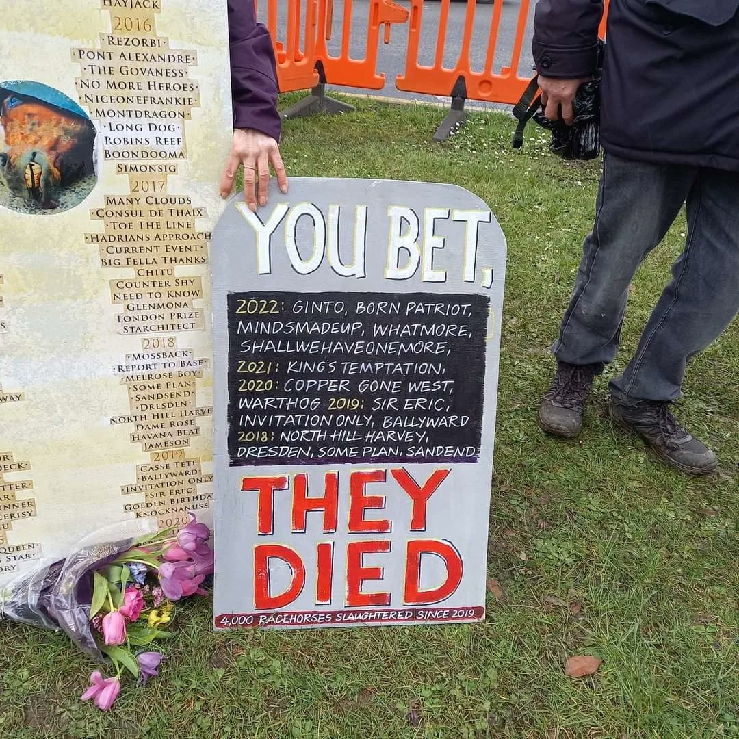 Demo at #CheltenhamFestival this morning where three #Horses have already been killed all in the name of #Entertainment and money Thanks to others who joined us today to draw attention to this, and remember those suffering #Abuse at the hands of the #HorseRacing industry