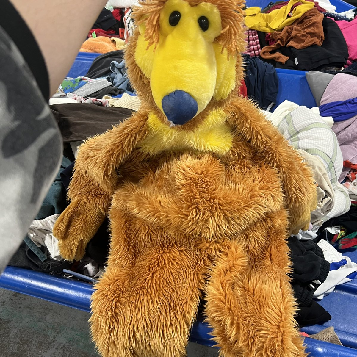 Vikes1011's tweet photo. @KF_PieceOfPeace I found the most Soos Costume for you. https://t.co/JNozhNjCE5