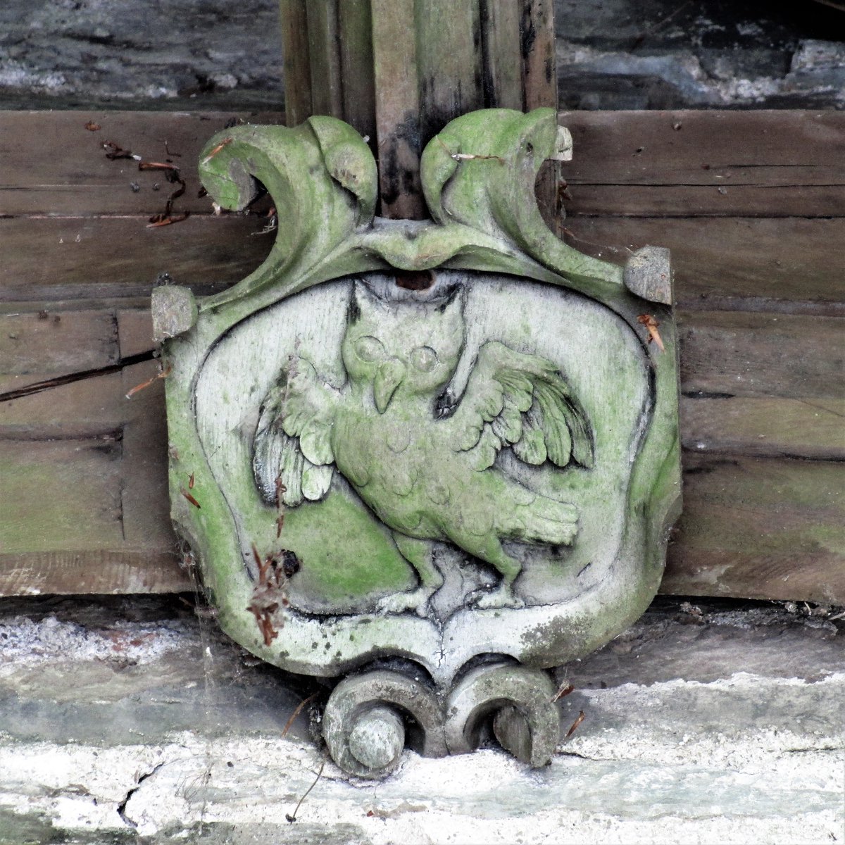 St Veep #Cornwall 
Late medieval owl roof boss in early C14 porch
#OwlishMonday #FavouriteCarvings